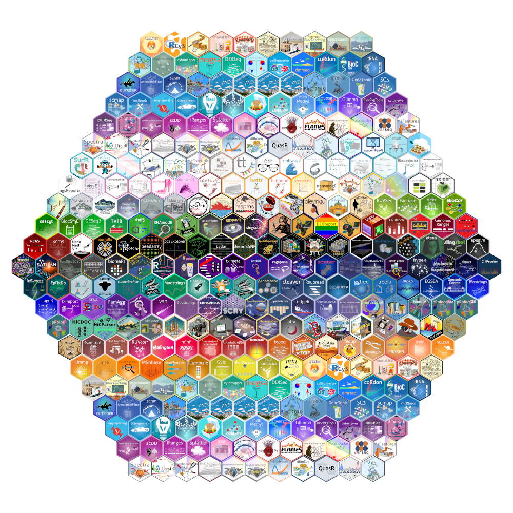Layout of the hexwall using a hexagonal design